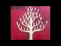 Gojira - Embrace The World