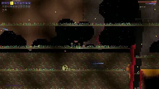 Gray Zapinator mp4