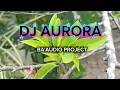 Download Lagu DJ Aurora BA'AUDIO PROJECT
