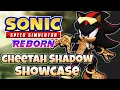Cheetah Shadow Showcase Sonic Speed Simulator