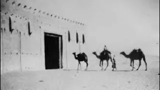 باقون هنا   نبيل شعيل دندنها