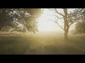 God Rest You Merry, Gentlemen (Tune: God Rest You Merry - 5vv) [with lyrics for congregations]