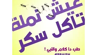مهرجان ازمة سكر دندنها