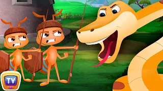 Snake and The Ants  - Storytime Adventures - ChuChuTV Storytime Adventures Collection