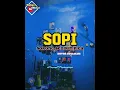 Lagu BEBY I MISS YOU_ SOPI (Sorong sedikit picah ) Noven atulolon