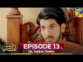 Download Lagu Dil Tanha Tanha S01E013