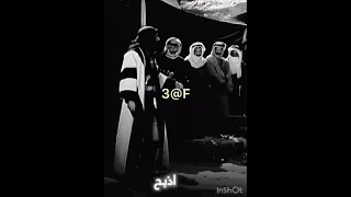 غليص ولد رماح اذبح اكسبلور لايك Bbq Chicken 