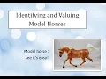 Identifying and Valuing Your Model Horses