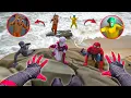 Lagu Spider-Man: Into The Spider-Verse (2025) | Marvel Studio BRAINROT -Spiderman - SERBIAN Dancing Lady