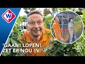 Lagu Gaan! Lopen! Tuincentrum gaat viral, Arie jaagt winnaars door de winkel