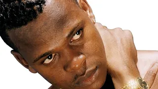 The Dancehall Career Of Mr Vegas
