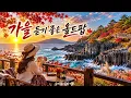 𝐏𝐥𝐚𝐲𝐥𝐢𝐬𝐭 🍂 가을 듣기 좋은 올드팝 " 감미로운 7080 음악 " ☕ 아침에 커피 한잔과 함께 " 편하게 계속 듣기 좋은 팝 " 가을 카페 음악"....~ 🍀💖