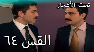 64 سنوات الضياع 