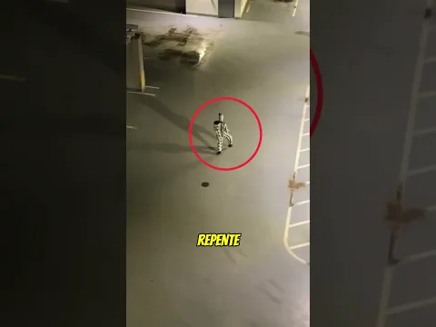Este palhaço viu que ela estava olhando… 😨🤡