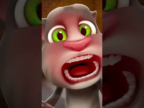 Funny Tom the Cat