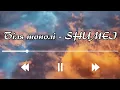 Біля тополі - SHUMEI (Текст пісні) || Героям Небесної Сотні