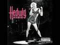Hedwig's Lament - Stephen Trask