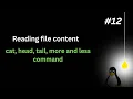 cat head tail more and less command in Linux reading content file PART 12 Practical Demo HINDI