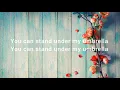 Umbrella-Rihanna Lyrics (Without JAY-Z)