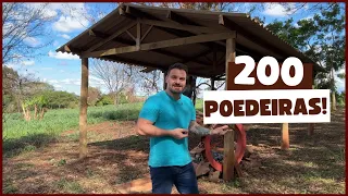 GALPÃO 200 GALINHAS POEDEIRAS: vou começar a criação para produção de ovos caipiras