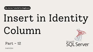12 SQL Server Insert Into IDENTITY Column SET IDENTITY - INSERT ON