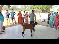 Download Lagu mere mama badha utarne gaye wait for end 3000 subscriber par give away hai lucky subscriber ko