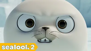 Why Is He So Angry? | SEALOOK Compilation