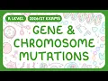 A-Level Biology - Mutations Gene and Chromosome Mutations