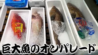 【朝5時】この中の魚を買うと思いきや・・・？