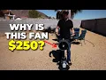 Is This Shark Misting Fan Worth 250 FlexBreeze Pro Mist Review