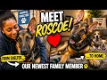 From Shelter to Family Roscoe s First Day Home