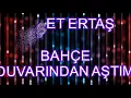 neşet ertaş bahçe duvarından aştım karaoke