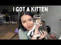 I GOT A KITTEN 8-week calico supply haul first day home 1-month update
