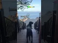 Day 8 Griswold Smokes gone