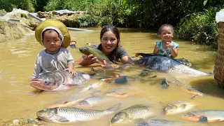 Encounter A Huge School Of Fish Catch Fish And Trap Fish To Sell Buy Clothes Milk For Children 