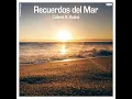 Recuerdos del Mar (Chillout Mix)