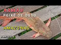 EEN BEETJE VAN ALLES IN DE S/F-GEMEENSCHAP VAN MANGUEIRA - VIDEO 74 - Amazonas