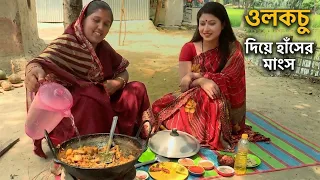 দারুন মজার গ্রামীণ রান্না ওলকচু দিয়ে হাঁসের মাংস || Panorama Cooking