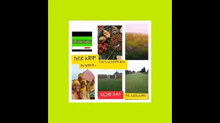 ከበደአጃሞና ዋቢ አብድራህማን ዝዝ የድረ የድረ ፍቕር 