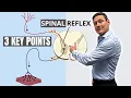 How Reflexology Really Works Best Pressure Points On The Body