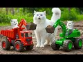 Download Lagu Mama Cat Survives Storm with Her Kittens 🌧️ Buys New Toy and Drives Excavator Together 🐱🐾❤️