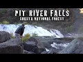 Shasta Trinity National Forest hiking best waterfalls in Northern California Pit River Falls
