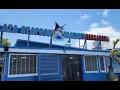 Miami s Best Plaza Seafood Market for Fresh Fish