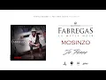 Fabregas Le Metis Noir - Mosinzo