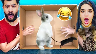 تحدي تخمين نوع الحيوان الفار عض ابننا الجديد روحنا المستشفي انهيار بكاء 