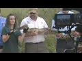 Florida kicks off Python Challenge - a competition to catch the biggest and most pythons