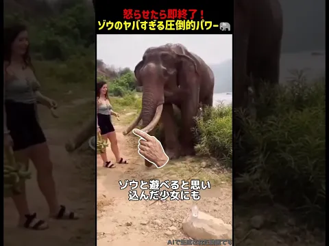 【ゾウの力がどれほどヤバいか知っていますか？】