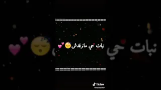 نبات حي مانرقدش 