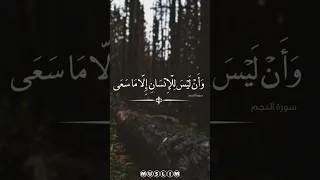 وأن ليس للإنسان إلا ما سعى   محمود الحصري    دندنها