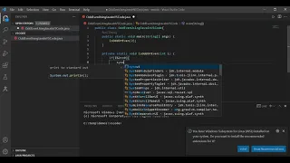 Java-VSCode odd or even number